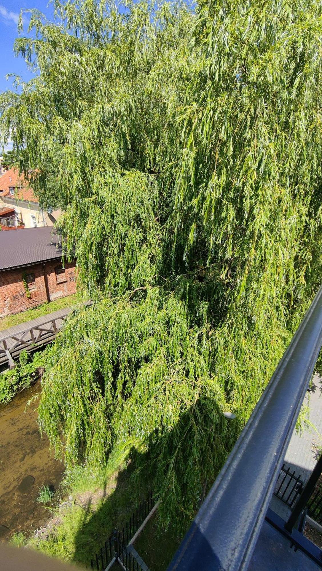 Apartament Nad Rzeka Lega Olecko Exterior foto